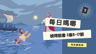 每日嗎哪【彼得前書 第3章8-17節】