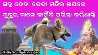 ସବୁ ଦେବା ଦେବୀ ମନ୍ଦିର ଉପରେ କୁକୁର ମାନେ କାହିଁକି ପରିସ୍ରା କରିଥାନ୍ତି //ମାଁ ଶକ୍ତିମୟୀ ମହିଳା ଦଣ୍ଡ ନୃତ୍ୟ//