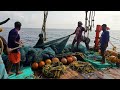 விசைபடகில் ஆறாவது நாளில் மீன்கள் பிடிக்கும் நேரடிகாட்சி 6th day trawl fishing in kerala boat