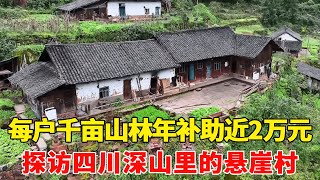 探访四川深山悬崖村，家家都是大地主，每户千亩山林年补助近2万元!【乡村阿泰】