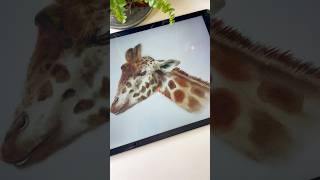 Drawing a Giraffe with Realistic Watercolor Studio for @Procreate  #procreateart #watercolor