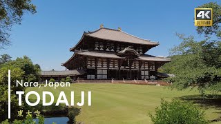 TODAIJI Temple Waking Tour, Nara Japan 4K　東大寺　奈良　世界遺産