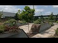 Acres of land cleared for Waterfront Botanical Gardens' new parking lot, Japanese garden