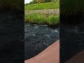 s248_kft千夜釣行_ 那珂川水系　wet fly fishing