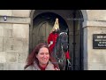 Top Six Moments King’s Guard Shouted At Rude Tourists