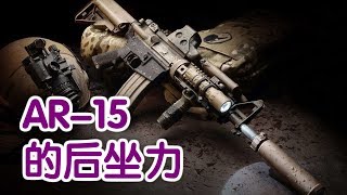 AR 15的后坐力如何应对？|Gun Guide:Blowback