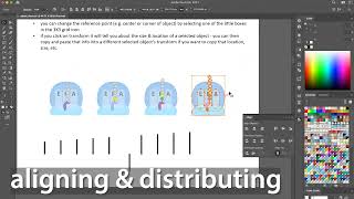 Adobe Illustrator fundamentals