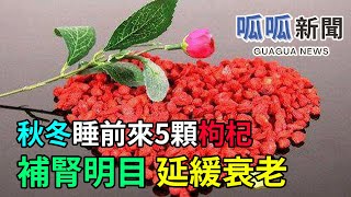 秋冬季節每晚睡前嚼5粒枸杞｜補腎明目｜延緩衰老｜ Eat Goji is good｜健康報｜功夫新聞