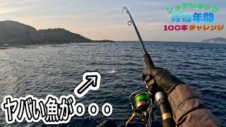 四国の無料堤防でヤバい魚がヒット！大ボイルを起こす魚の正体が判明した！【ショアジギング青物年間100本チャレンジ#61】