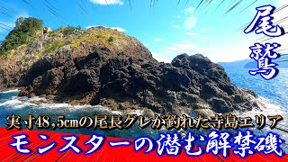 【50オーバーの尾長を追え！】ブチブチに切られると噂の解禁磯に新製品ゼクトMRで挑んでみた！