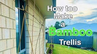 How too make a Bamboo Trellis