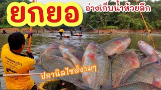 ยกยอ อ่างห้วยลึก ►Fishing lifestyle Ep.689