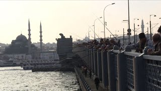 Istanbul’s anglers risk killing their hobby with overfishing