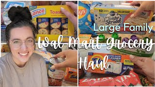 WEEKLY WALMART GROCERY HAUL | LARGE FAMILY MEALS