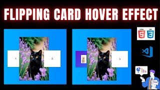 Day 40 - Flipping Cards Hover Effect | Using HTML & CSS Free Source Code |