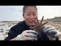 collection a lot of shrimps on the beach were unable to hide. niu niu picked up half a bucket and