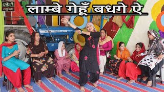 लाम्बे गेहूँ बधगे ऐ || hariyanvi traditional folk lokgeet || old is gold