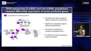 Leveraging variation in natural systems to disentangle complex phenotypes - Joanna Kelley