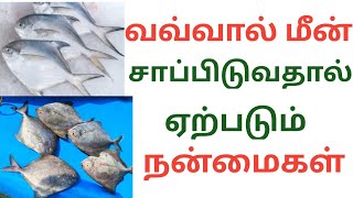 Vavval meen benefits in Tamil/pompret fish gravy/vavval meen kulambu/வவ்வால் மீன் நன்மைகள்/Fish