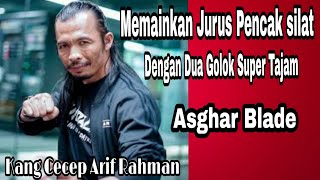 Cecep Arif Rahman plays pencak silat with two super sharp Asghar blade machetes