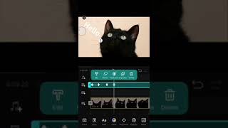 10.Key Frame Animation 丨VN Video Editor App