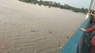 Arambagh Flood 😱 #shorts