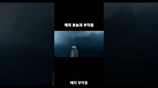 배의 효능과 부작용