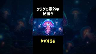 クラゲの意外な秘密がヤバすぎる　#クラゲ #海洋生物 #動物 #雑学 #shorts