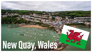 New Quay, Wales (Walking Tour)