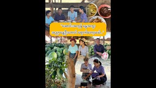 “နွားတင်းကုပ် ခရိုးက ပဲပုဇွန်သီးတွေ ခူးချက်မယ်..”