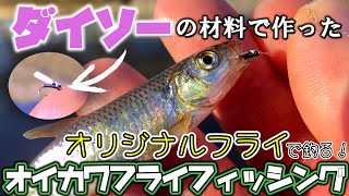 【オイカワ釣り】ダイソーの材料で新作フライを作って釣ってみた！オイカワフライフィッシング【レイン坊ちゃんねる～Rainbow’ｓ Japanese Fishing Life～】