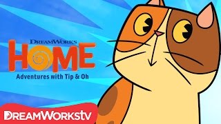 A Cat Named Pig | DreamWorks Home Adventures With Tip & Oh