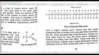 Lipids for Human: Fundamentals of Human Nutrition