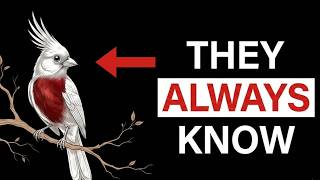 Why Certain Birds Appear Just Before Your Life Changes?