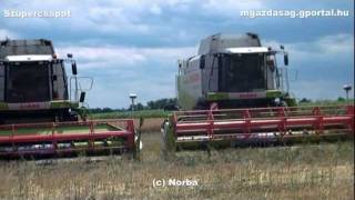 Szupercsapat - Rape Harvest 2011   '4x Claas Lexion, 3x MAN, Rába-steiger 250'