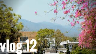 A day at Chiang Mai University! | Chiang Mai Vlog 12