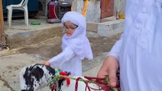 Qurbani with small kids || Eid ul azha