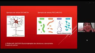 HISTOLÓGIA SERES VIVOS (clase 1)