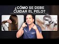 ¿Como se debe cuidar el pelo?