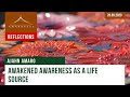 Awakened Awareness as a Life Source | Dhamma Reflection | 28.09.2020