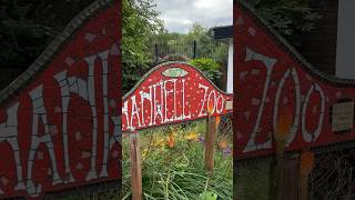 Hanwell zoo #london  #shorts #londonuk  #londonzoo #hanwell #bankholiday