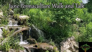 Permaculture Food Forest Tour, June 2023. Walk and talk about overshoot, ice melting, climate change