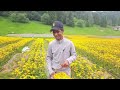 agricultura job in italy seasonal visa job in italy agriculture job salary pakistani in italy