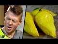 Super HOT!! Lemon Drop Pepper Taste Test | Unusual Foods