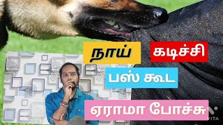 நாய் கடிச்சி பஸ் கூட ஏரா முடியாம போச்சு//Even a dog-bitten bus can poop ,#Besafe #dogattack