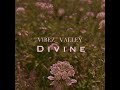 Vibez_ Valley - Divine