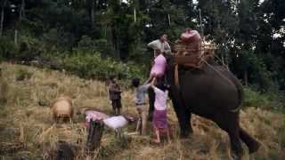 Last of the Elephant Men (Cambodia) - Official Trailer | PPIFF2015