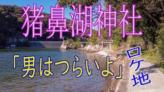 三ヶ日町に鎮座する【猪鼻湖神社】です