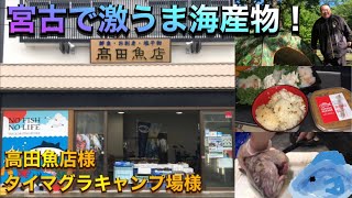 高田魚店様で勧められた赤皿貝が激うま！宮古キャンプ編⛺️［I found the best fishmonger in Miyako.］