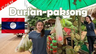 VLOG.54 วาวมาก....สวนทุเรียนหมอนทองที่ลาวใต้ก็มีนะ